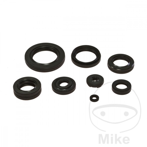 Set guarnizioni motore per